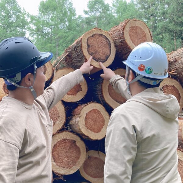 木の家を建てる・・・　木を伐る人に会いに行く①